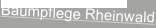 shapeimage_2_link_15